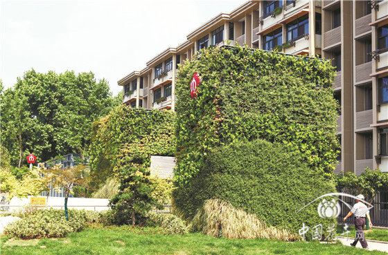 改良型种植毯植物墙项目施工实践