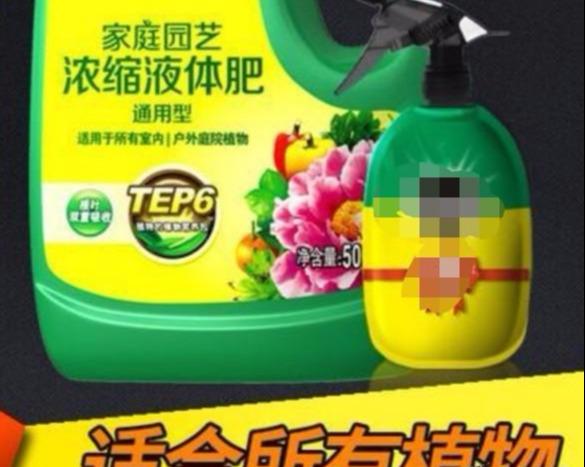 百合花开花前后该如何养护？应做好哪些方面的工作？