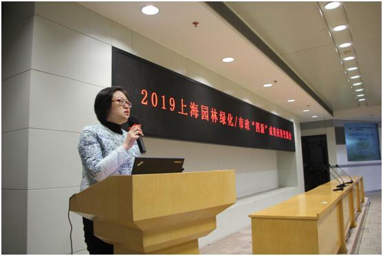 园林绿化四新成果应用交流会助力园林机械化进入快车道