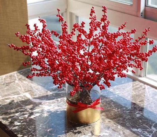 冬季如何养好不休眠的花草？加强3方面管理，枝繁叶茂、开花勤