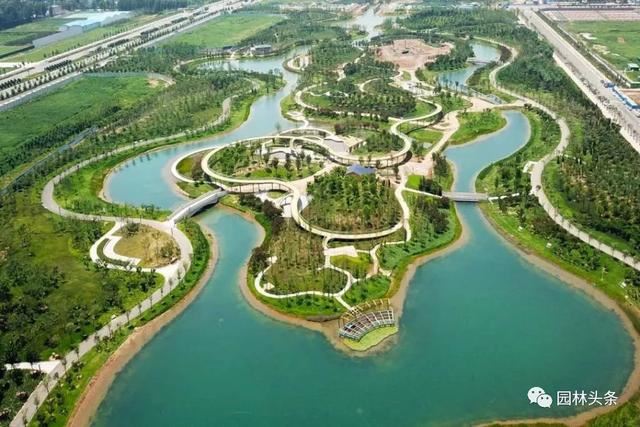 2020年计划造林1.01亿亩，六省市最新造林规划，重点已划好