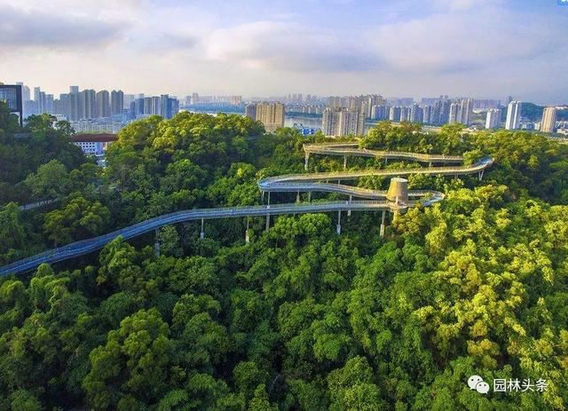 2020年计划造林1.01亿亩，六省市最新造林规划，重点已划好