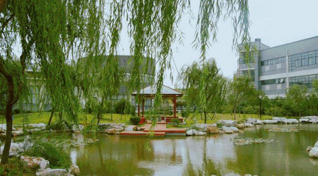绿化树种的“选择”你知道多少？