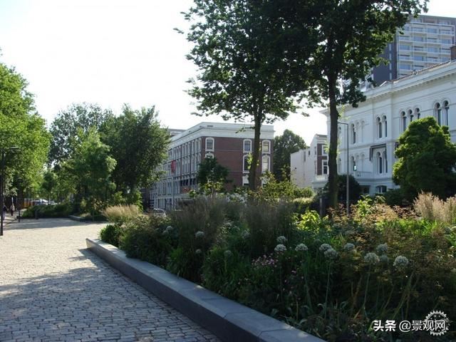 荷兰鹿特丹市码头景观设计案例-河岸景观改造