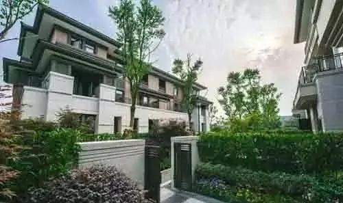 可别小看景观设计师，原来种树有这么大的学问