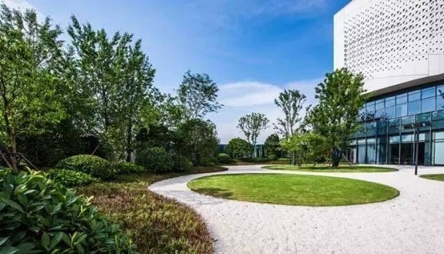 值得收藏的最全景观植物造景，不要错过