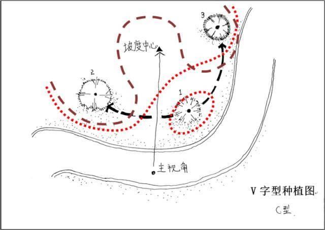 值得收藏的最全景观植物造景，不要错过