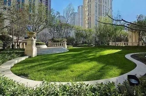 可别小看景观设计师，原来种树有这么大的学问