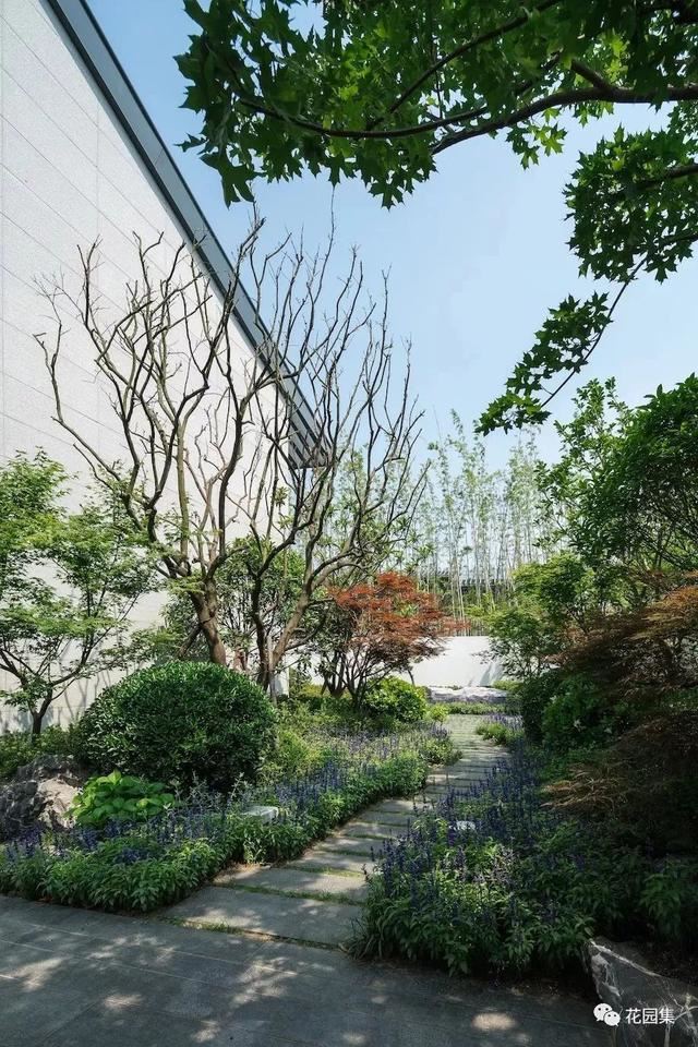 庭院配色技巧大全，从这里开始重新定义你的花园色彩