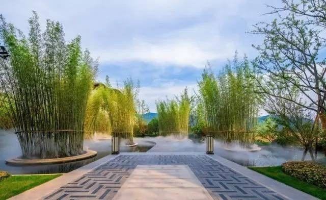 值得收藏的最全景观植物造景，不要错过