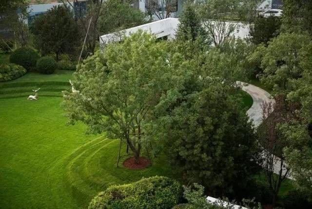 值得收藏的最全景观植物造景，不要错过