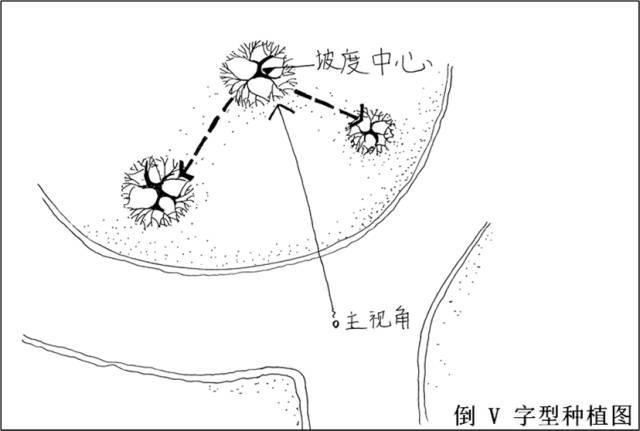 值得收藏的最全景观植物造景，不要错过