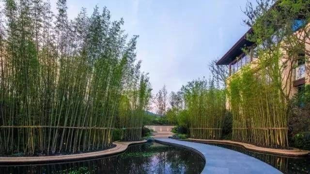 值得收藏的最全景观植物造景，不要错过