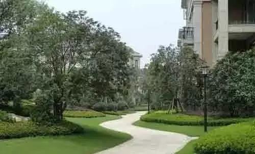 可别小看景观设计师，原来种树有这么大的学问