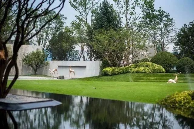 值得收藏的最全景观植物造景，不要错过