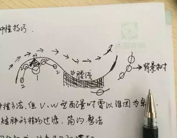 值得收藏的最全景观植物造景，不要错过