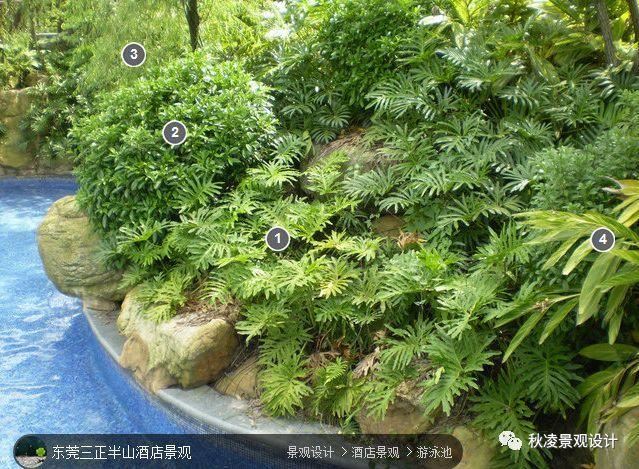 景观植物配置图，用实际案例来说话