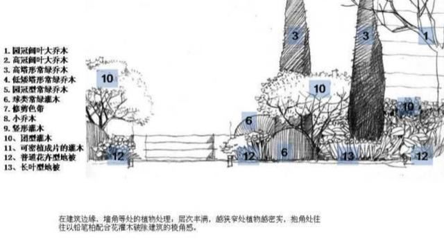 龙湖植物种植体系