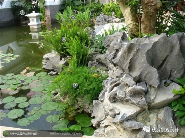 景观植物配置图，用实际案例来说话