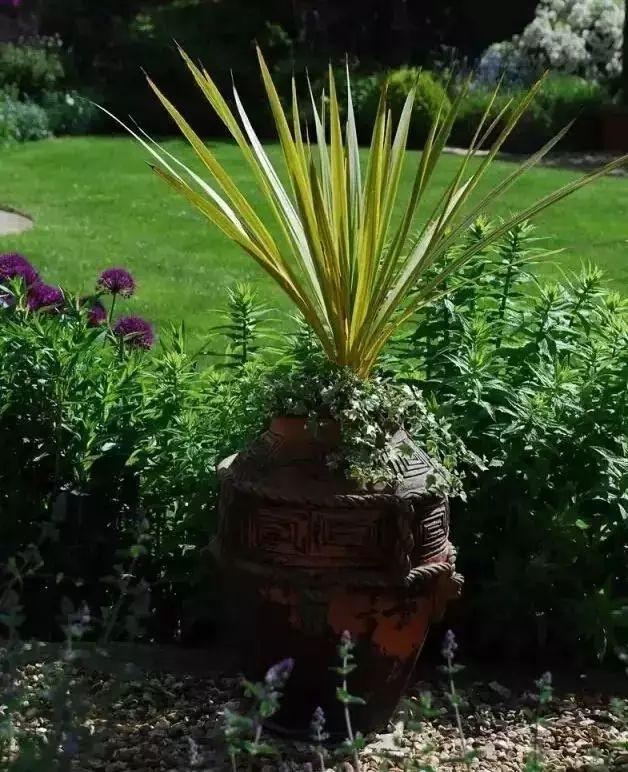 技巧：庭院花园植物配置
