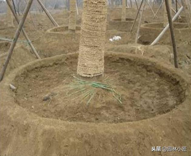 园林景观中，水圈施工工艺标准，行业内必懂