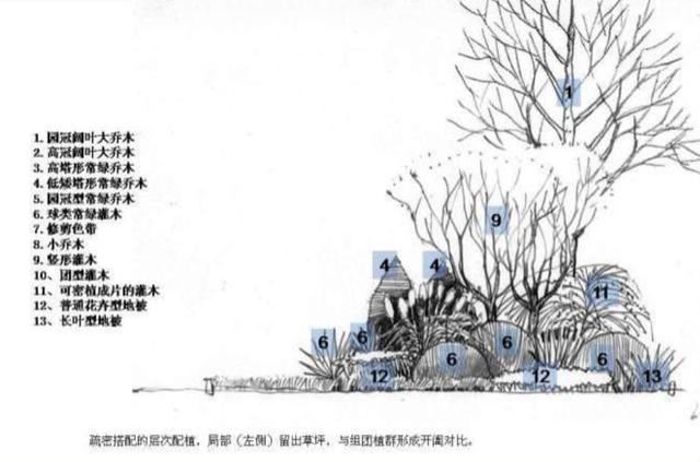 龙湖植物种植体系