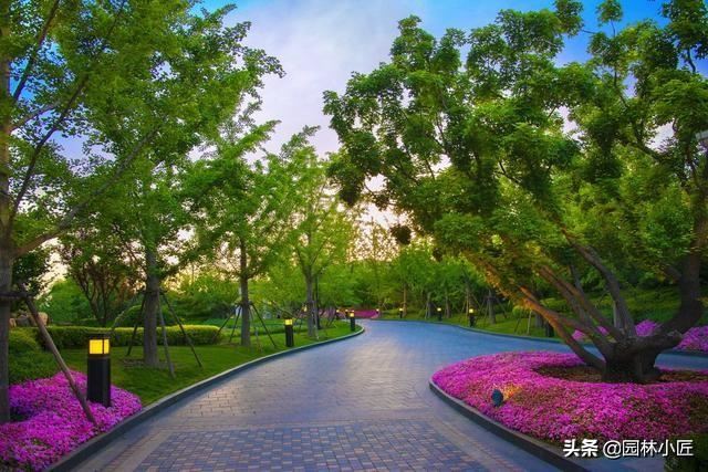 园林绿化施工的详细流程步骤