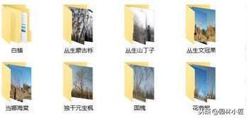 园林景观中，号苗工作