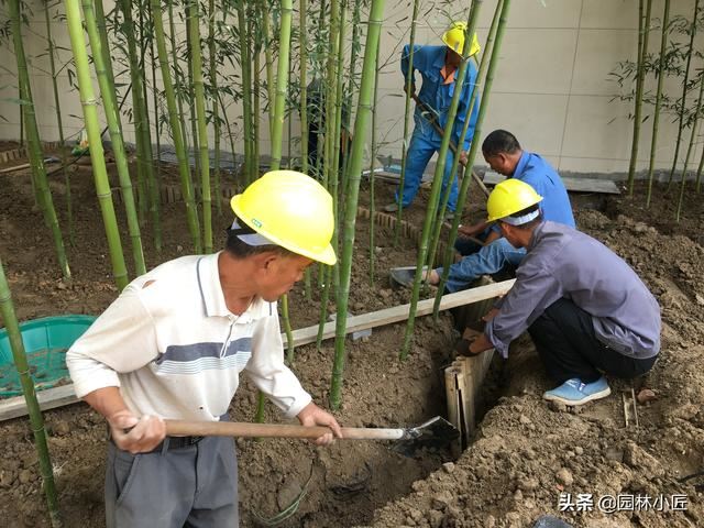 竹子在园林景观中的应用，创新不断，备受现代人的喜爱