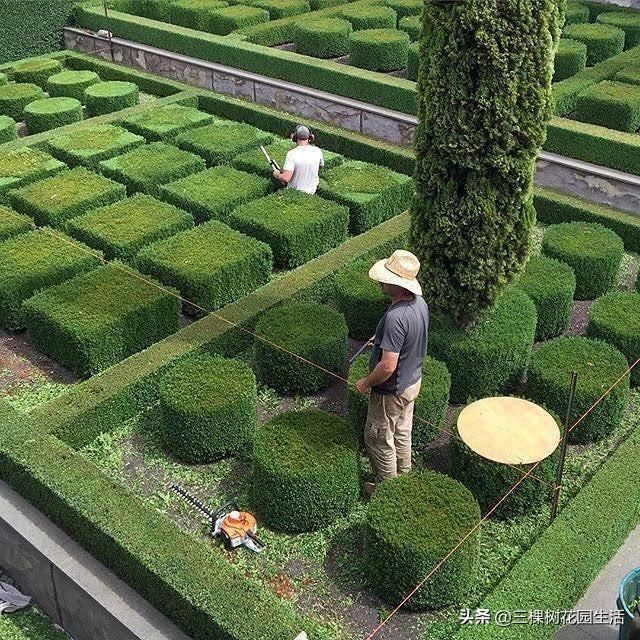 你看到美好的花园植物都要靠园艺师日常不断修正