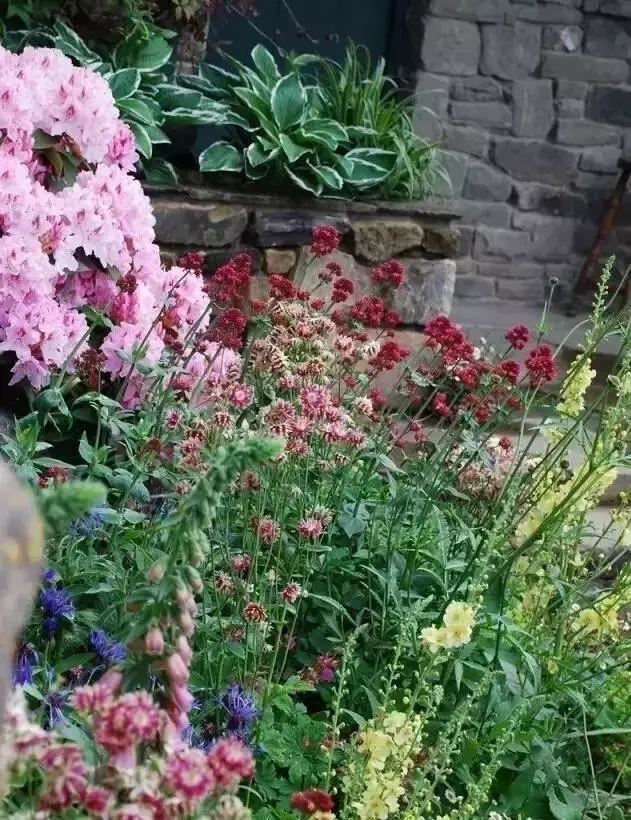 技巧：庭院花园植物配置