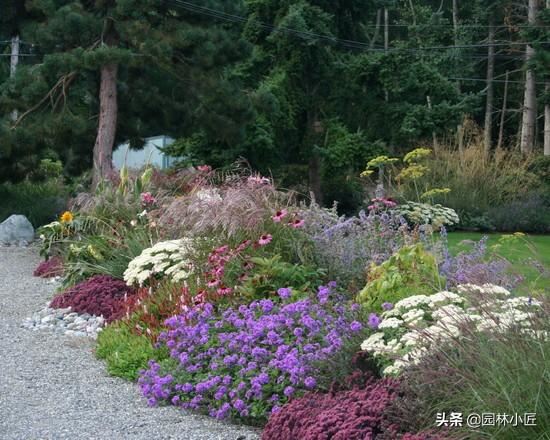 优秀花镜图片案例欣赏（二）