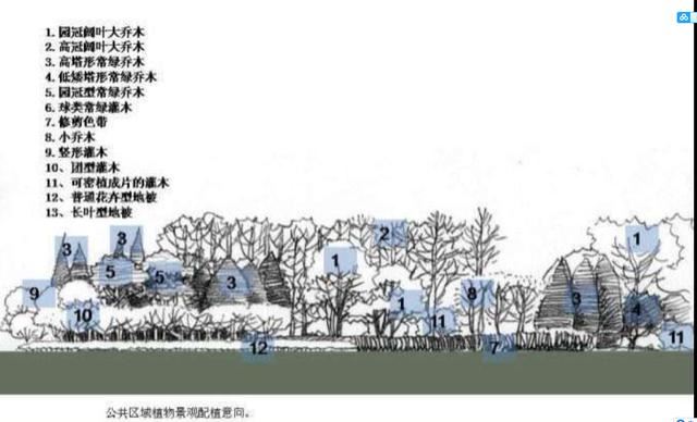 龙湖植物种植体系