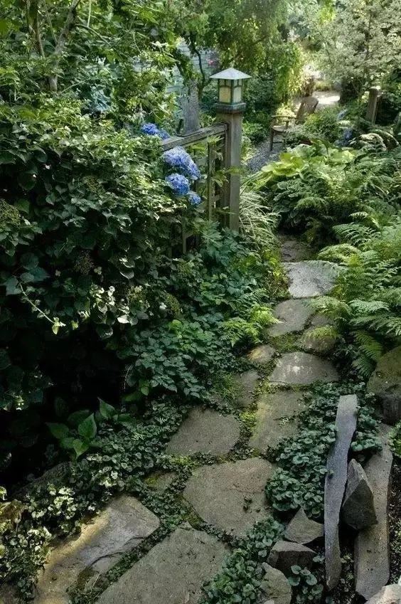 技巧：庭院花园植物配置