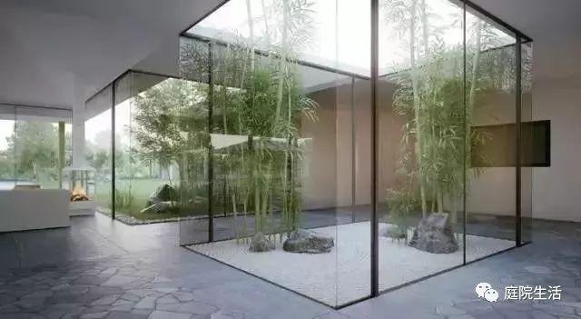 种一丛竹子，添一片悠然