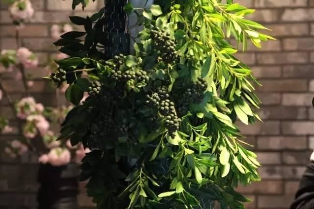 唯美花拱门（附超详细鲜花拱门制作教程，一看就会）