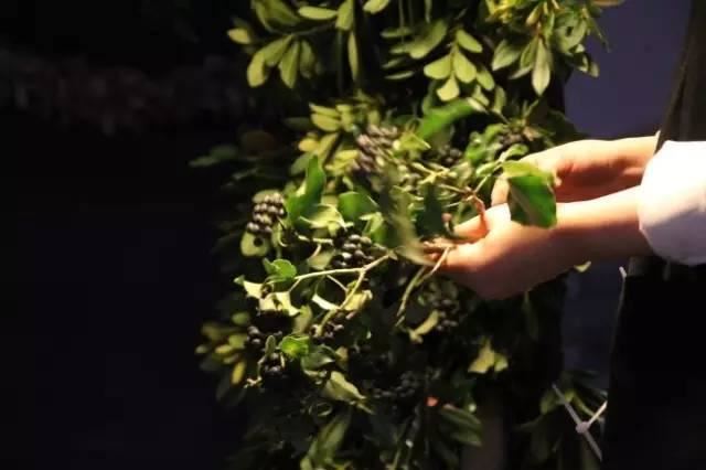 唯美花拱门（附超详细鲜花拱门制作教程，一看就会）