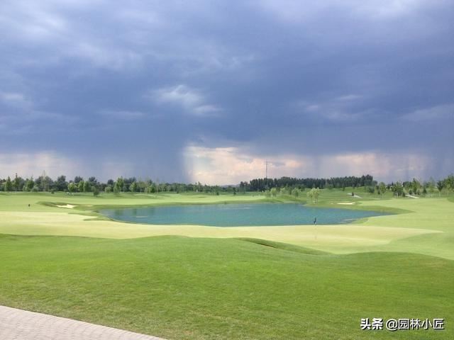 浅谈园林景观行业目前的状态