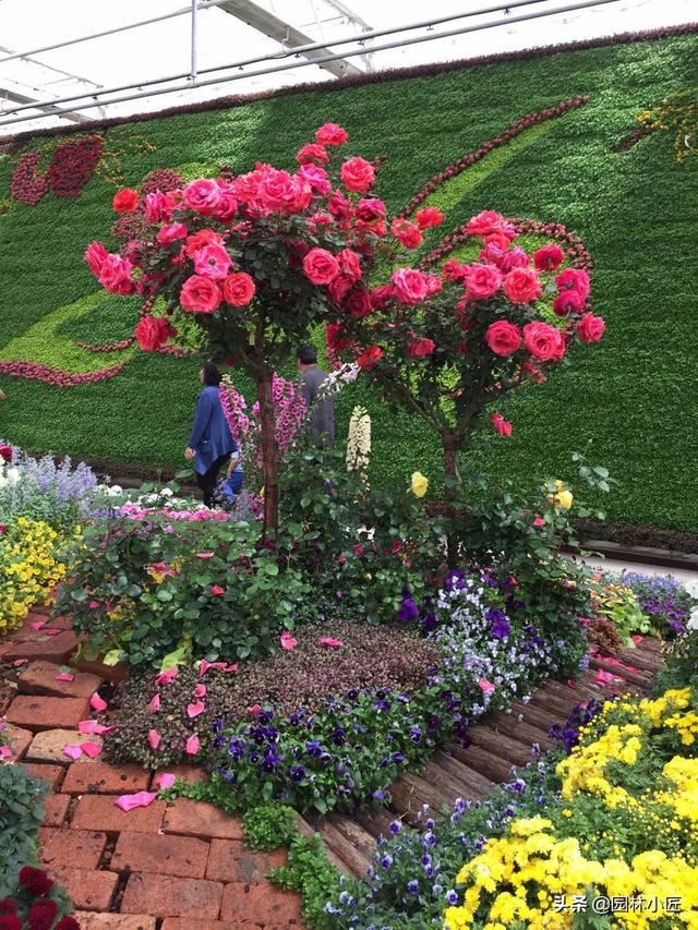 优秀花镜图片案例欣赏（二）