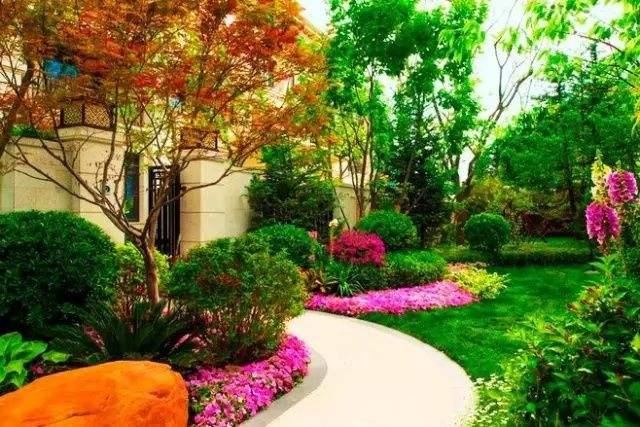 龙湖植物种植体系