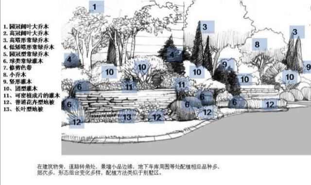 龙湖植物种植体系
