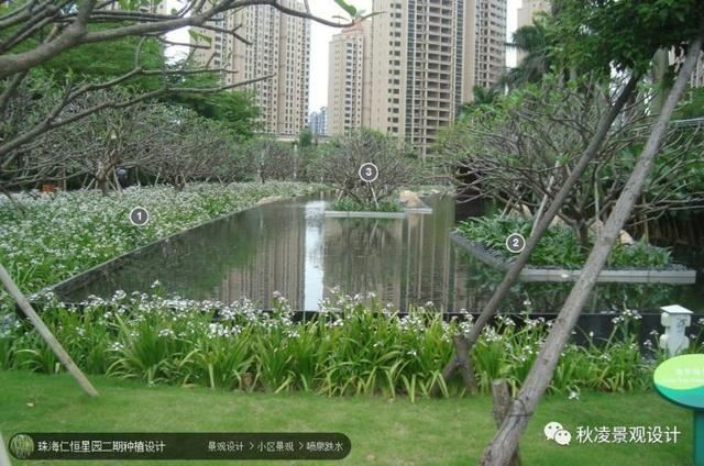 景观植物配置图，用实际案例来说话