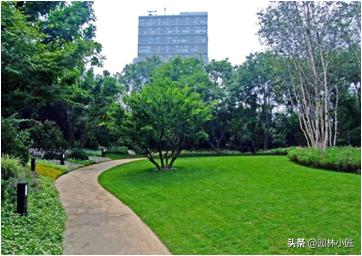 园路与植物景观设计，植物配置，案例欣赏
