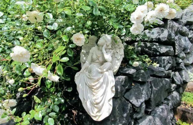 混合花境设计与种植建议！-园林景观干货