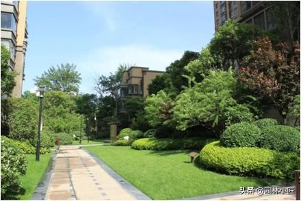 园路与植物景观设计，植物配置，案例欣赏