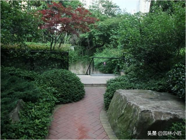 园路与植物景观设计，植物配置，案例欣赏