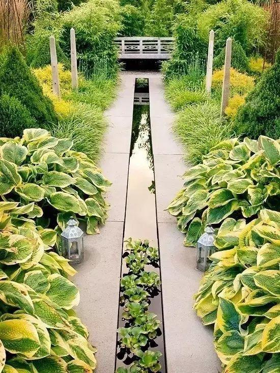 技巧：庭院花园植物配置