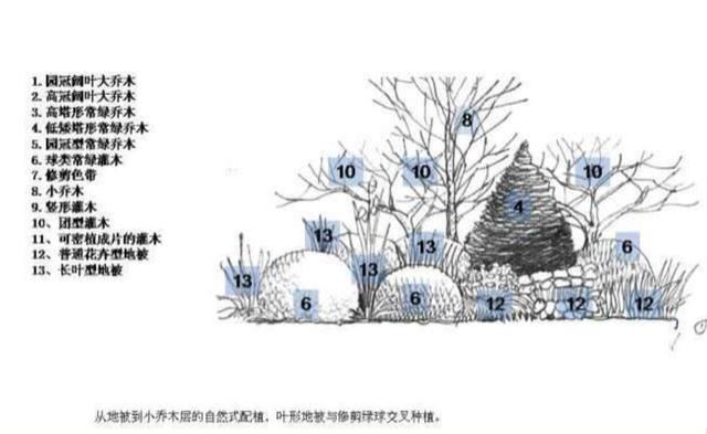 龙湖植物种植体系
