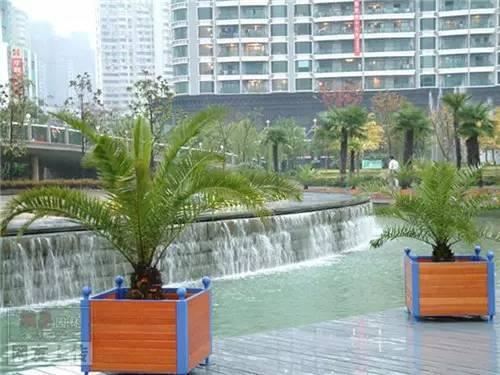 80种常见园林植物 · 景观设计师必知