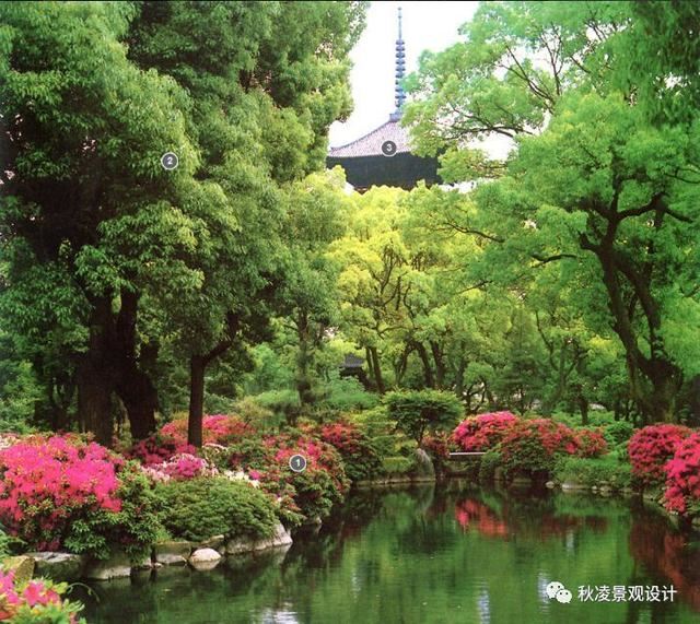 景观植物配置图，用实际案例来说话